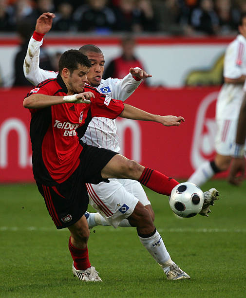 进行解释 进行解释