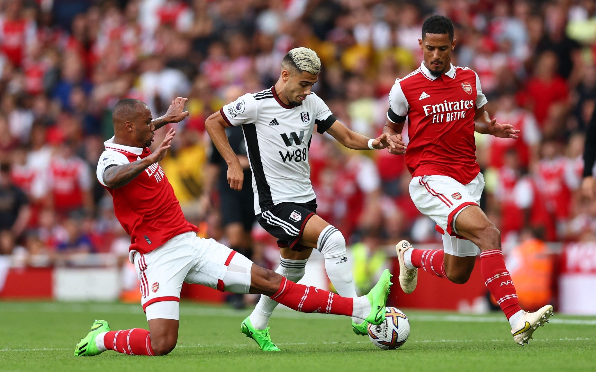 家纷纷质疑 家纷纷质疑