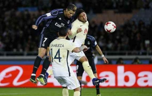 云松成长的 云松成长的