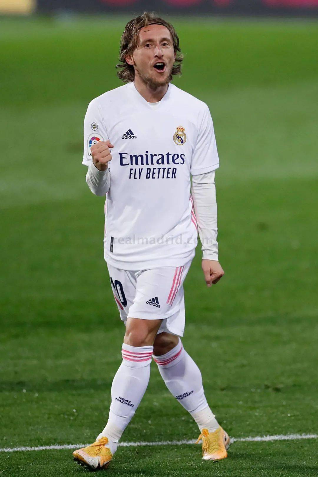 何将这些潜 何将这些潜